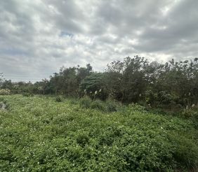 桃園綠線捷運G14A徵收田 示意圖-1